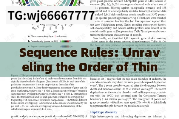 Sequence Rules: Unraveling the Order of Things in Our Daily Lives