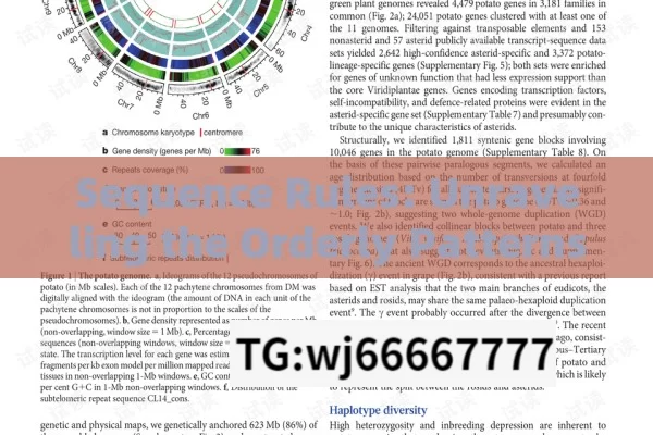 Sequence Rules: Unraveling the Orderly Patterns in Our Lives